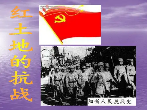 阳新人民抗战史