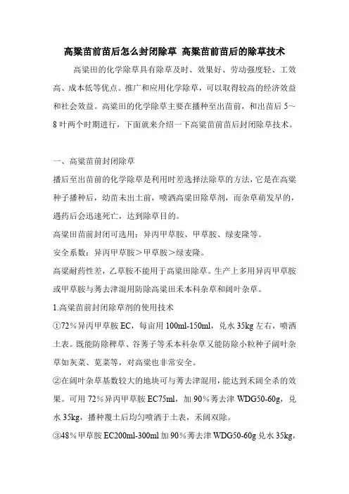高粱苗前苗后怎么封闭除草 高粱苗前苗后的除草技术