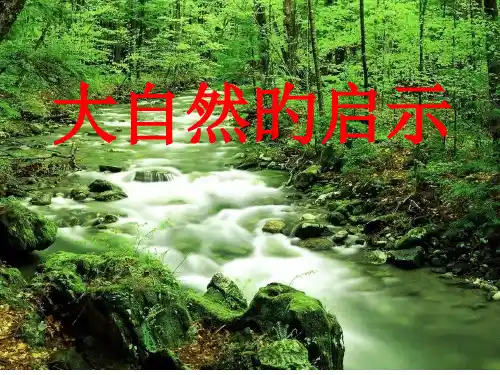 四年级下册语文第三单元口语交际--大自然的启示-省公开课获奖课件市赛课比赛一等奖课件