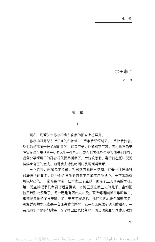 宗于来了（中篇）