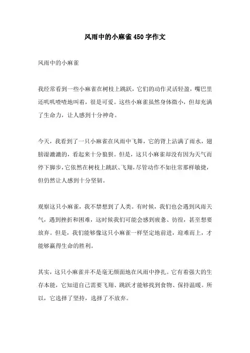 风雨中的小麻雀450字作文