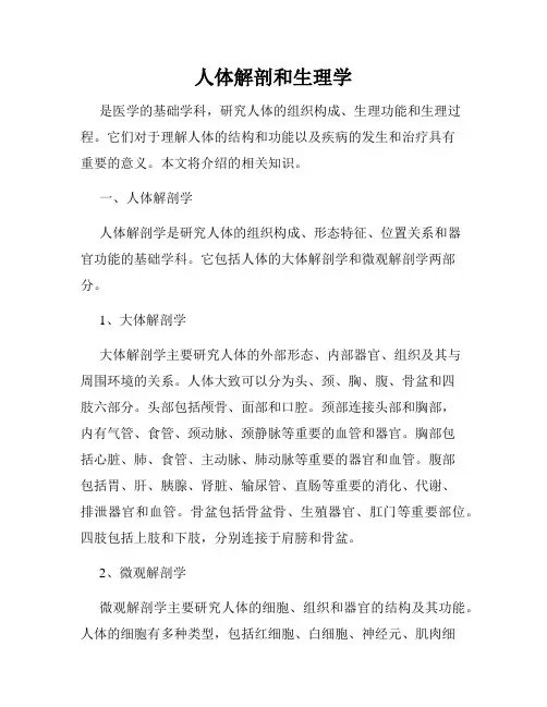 人体解剖和生理学