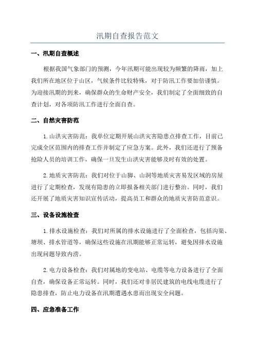 汛期自查报告范文