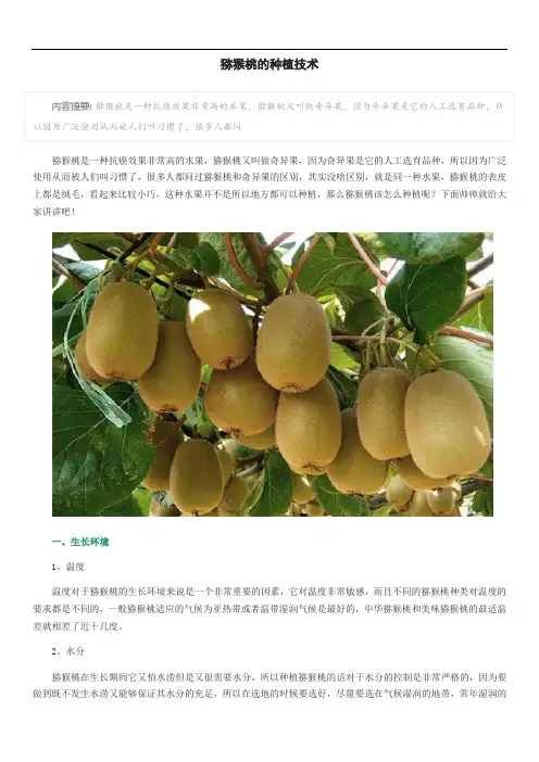 猕猴桃的种植技术