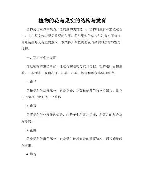 植物的花与果实的结构与发育