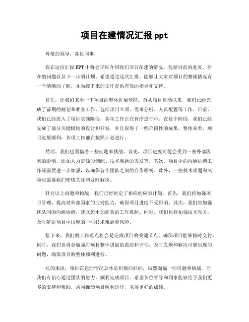 项目在建情况汇报ppt