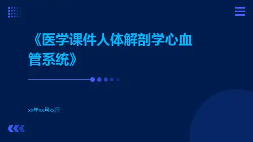 医学课件人体解剖学心血管系统