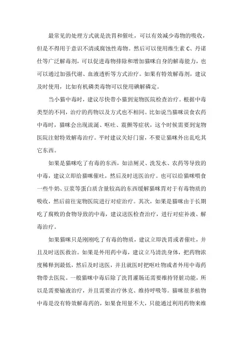 猫中毒了怎么快速解毒