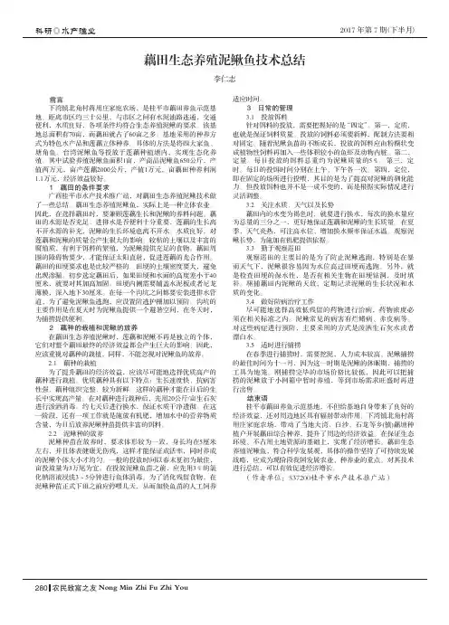 藕田生态养殖泥鳅鱼技术总结