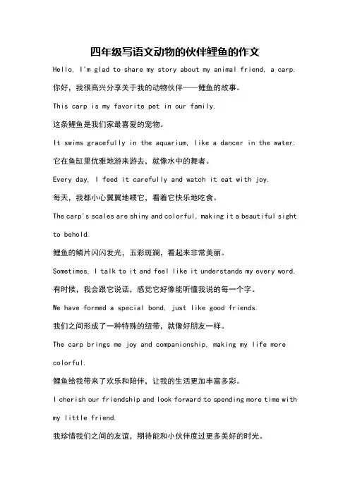 四年级写语文动物的伙伴鲤鱼的作文