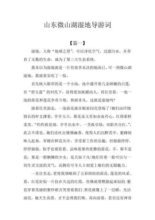 山东微山湖湿地导游词