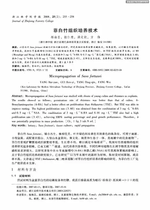 菲白竹组织培养技术