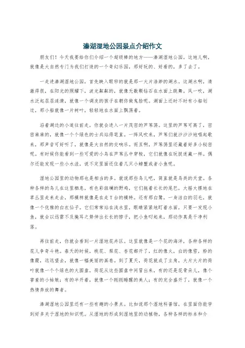 溱湖湿地公园景点介绍作文