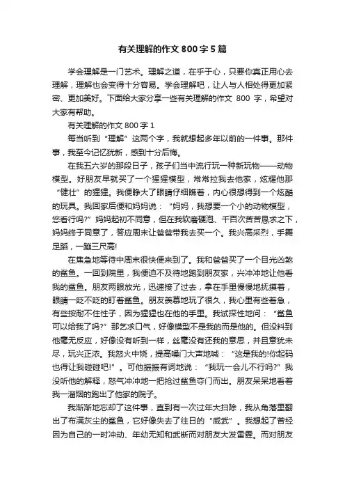 有关理解的作文800字5篇