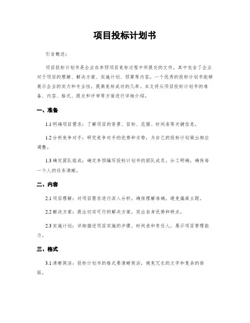 项目投标计划书