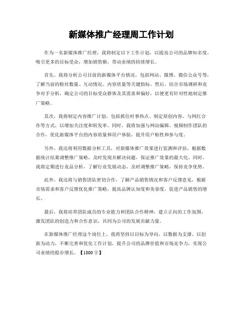 新媒体推广经理周工作计划