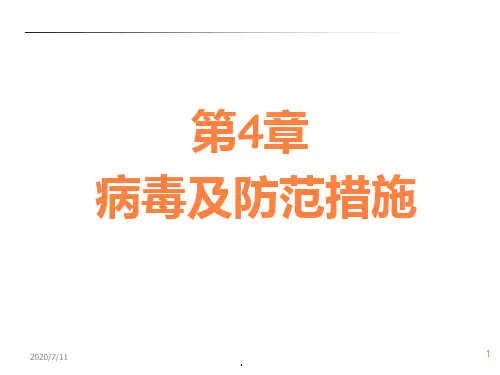 病毒及防范措施ppt课件