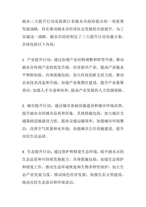 丽水三大提升行动实施方案