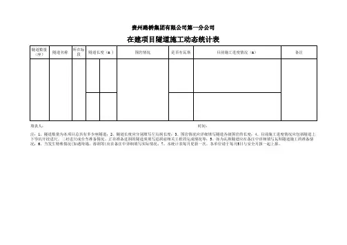 在建项目隧道统计表