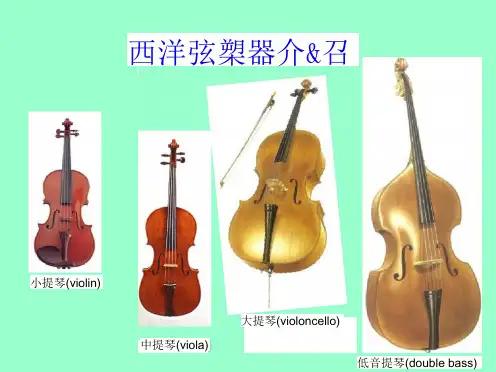 吉他小提琴中提琴大提琴低音提琴西洋弦乐器介绍