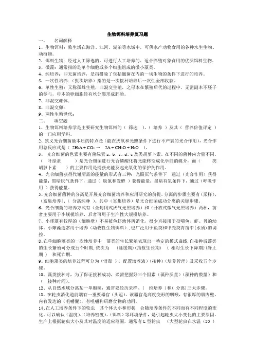 生物饵料培养