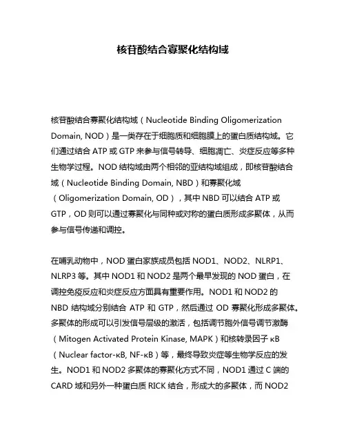 核苷酸结合寡聚化结构域