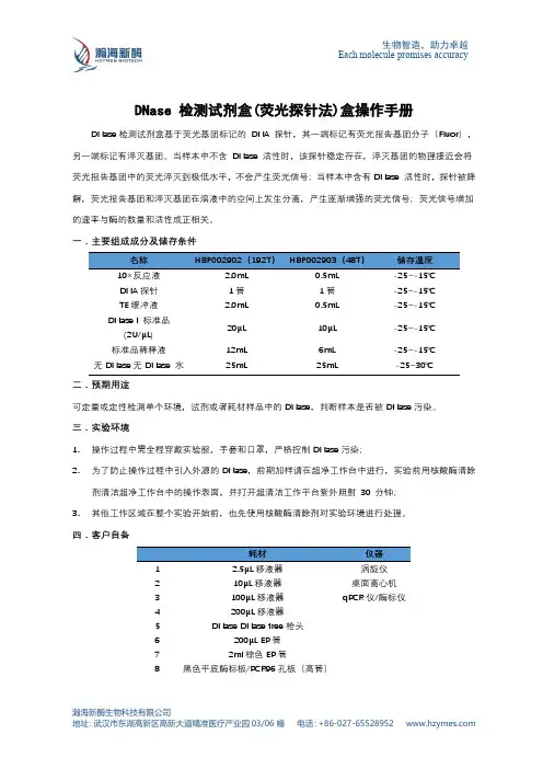 DNase 检测试剂盒(荧光探针法)盒操作手册说明书