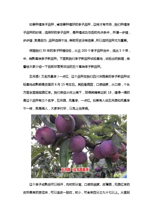 李子品种有哪些