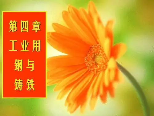 工业用钢与铸铁-工程材料及其热处