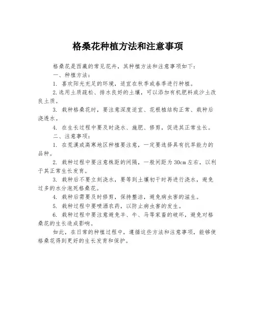 格桑花种植方法和注意事项