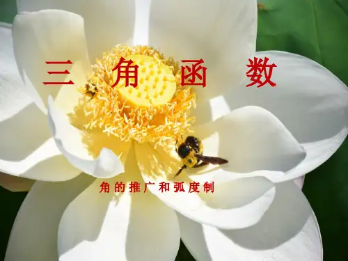  高三数学复习课件：角的推广与弧度制(共22张PPT)