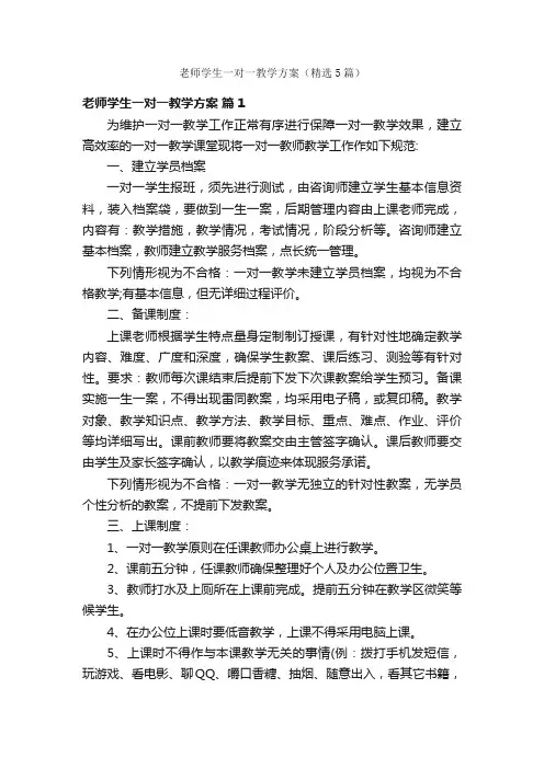 老师学生一对一教学方案（精选5篇）