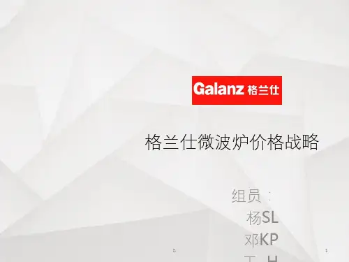 格兰仕微波炉战略分析