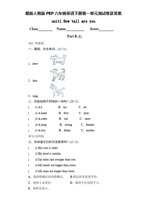 最新人教版PEP六年级英语下册第一单元测试卷及答案