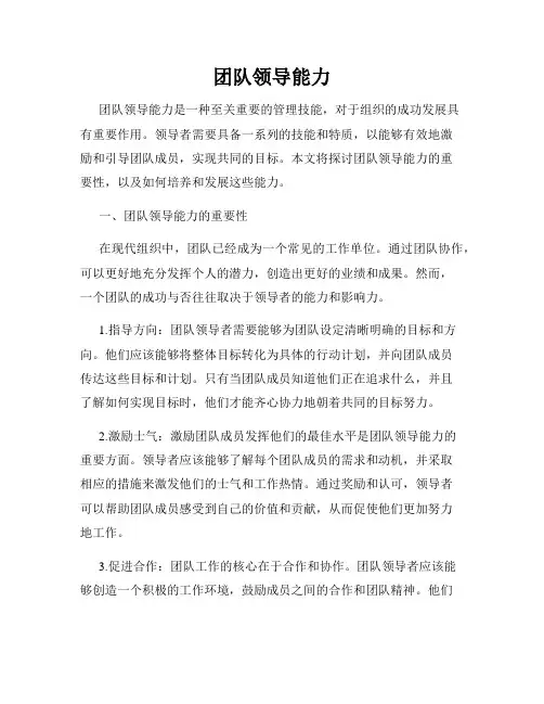 团队领导能力