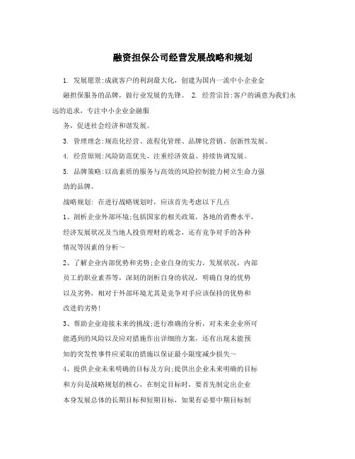 融资担保公司经营发展战略和规划