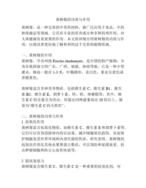 黄树莓的功效与作用