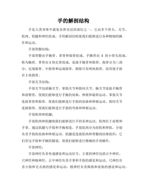手的解剖结构
