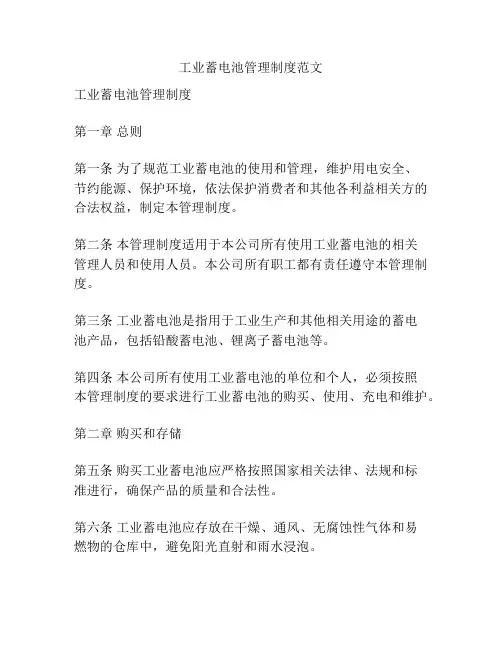 工业蓄电池管理制度范文