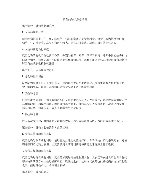反刍的知识点总结图