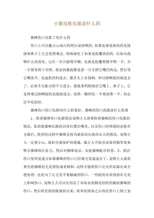 小猫皮肤化脓涂什么药