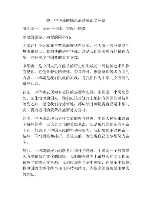 关于中华魂的励志演讲稿范文三篇