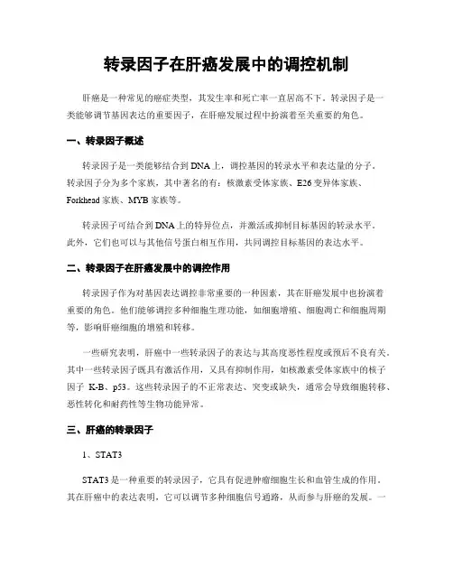 转录因子在肝癌发展中的调控机制