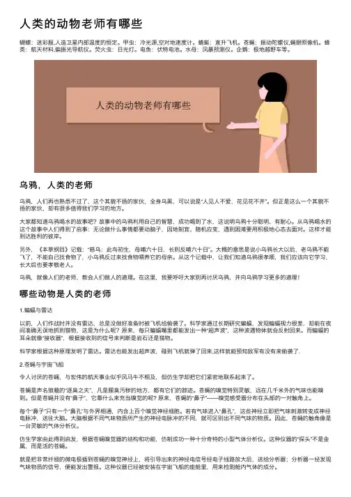 人类的动物老师有哪些