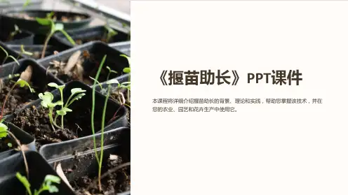 《揠苗助长》课件