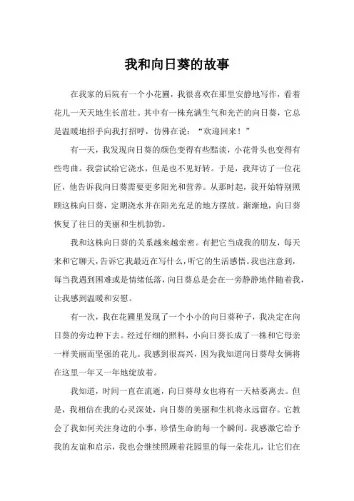 我和向日葵的故事