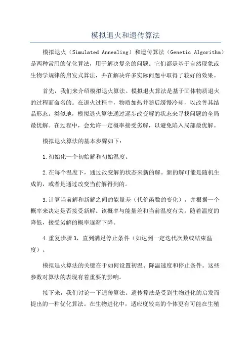模拟退火和遗传算法