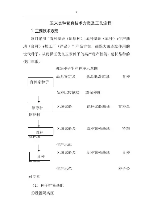 玉米良种繁育技术方案及工艺流程
