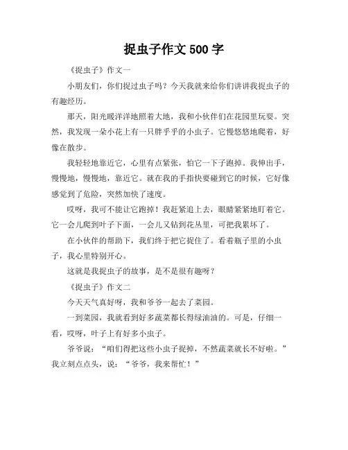 捉虫子作文500字