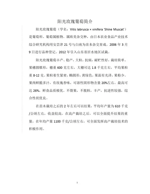 阳光玫瑰葡萄简介